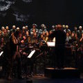 Hellebore - Décembre 2019 - © Steve Barek / Opéra de Limoges Hellebore - Décembre 2019 - © Steve Barek / Opéra de Limoges