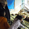 A la ferme de la tour des Pins A la ferme de la tour des Pins